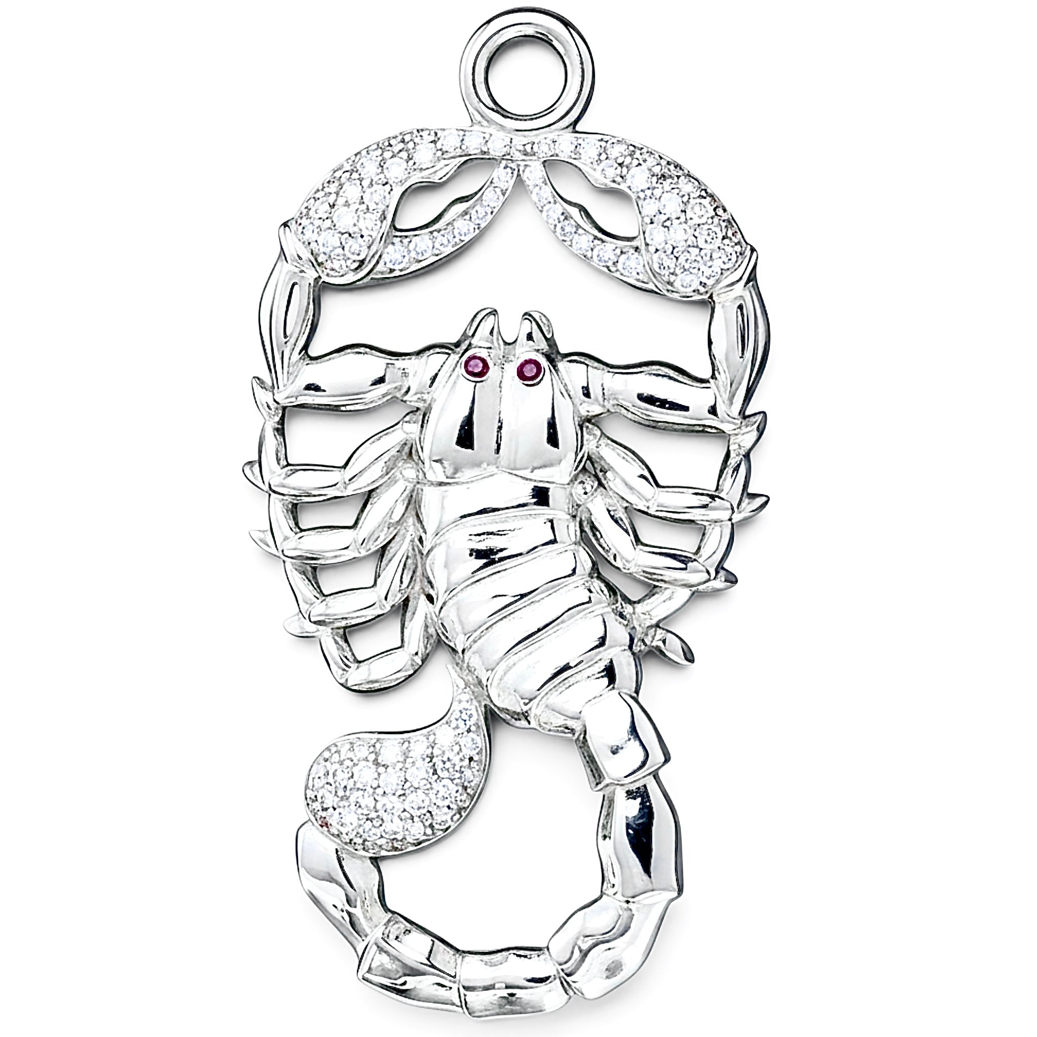THE CELESTIAL SCORPION